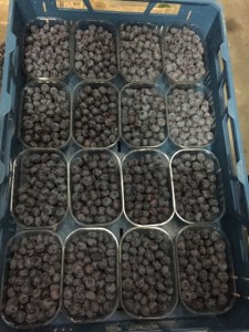 Owoce borówki amerykańskiej przygotowane do sprzedaży na platformie