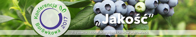 winieta_www_2017_800