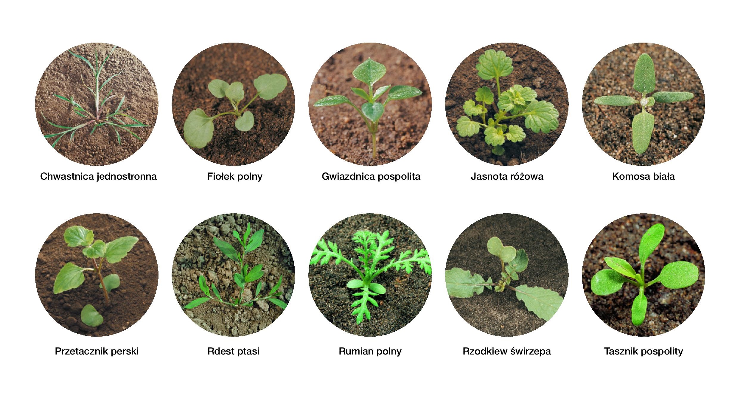 Stomp Aqua ulotka 2016-page-002