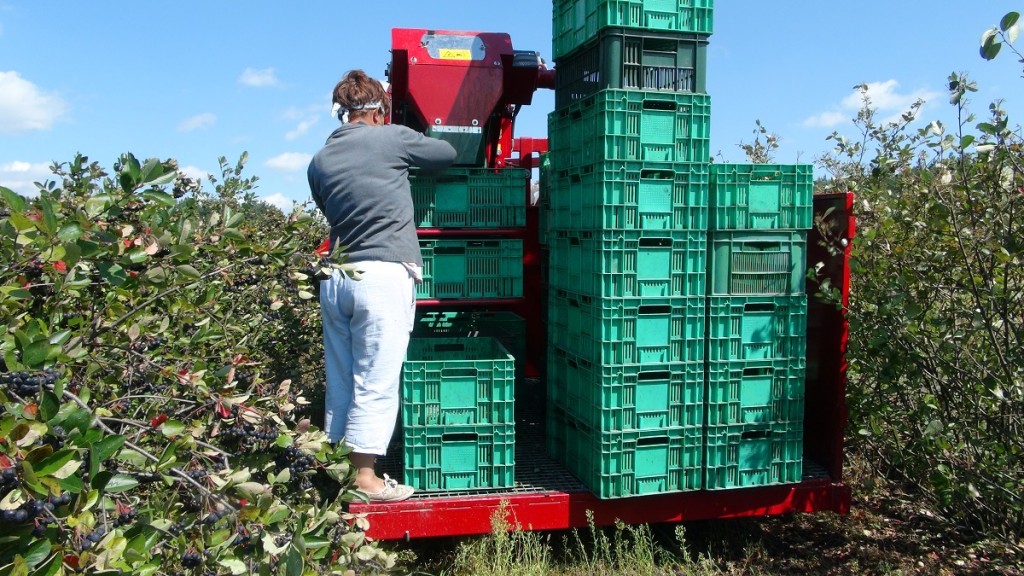 Technologia zbioru 4