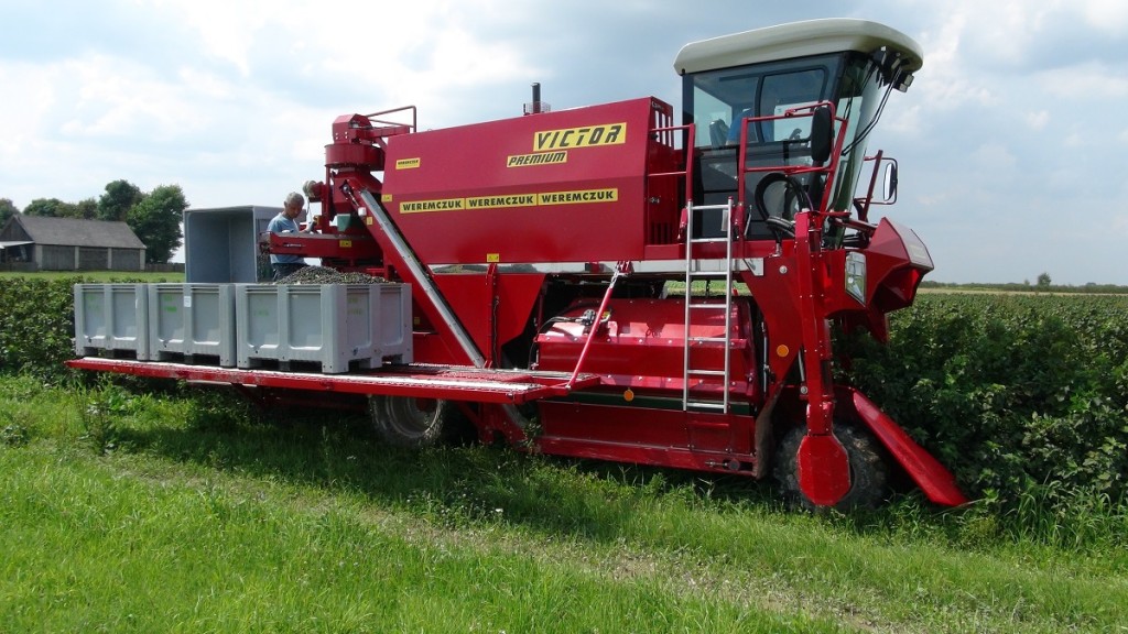 czII str 7 VICTOR LINE