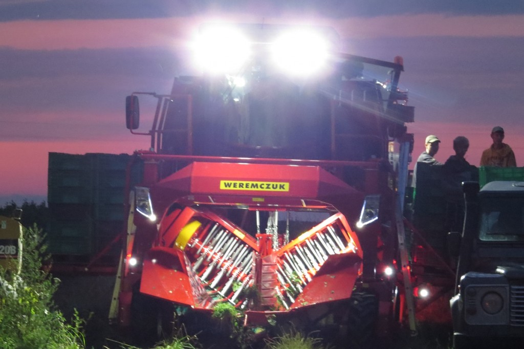 czII str8 małe1 (1)