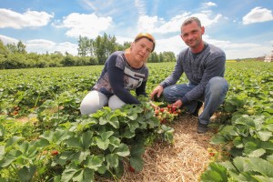 jagodnik_2_truskawka_borowka1