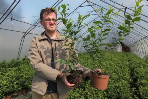 jagodnik_2_truskawka_borowka13