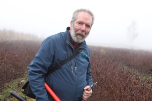 jagodnik_2_truskawka_borowka17