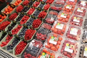 jagodnik_2_truskawka_borowka22