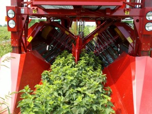 technologia zbioru 1