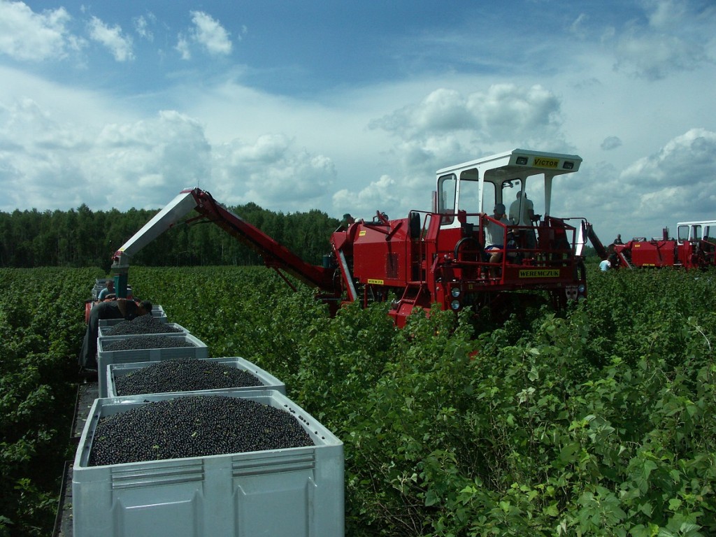 technologia zbioru 5