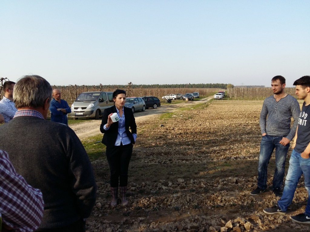 Agnieszka Ptaszek z firmy F&N Agro omówiła ona zalety nowego fungicydu zwalczającego szarą pleśni w truskawce o nazwie Prolectus 50 WG