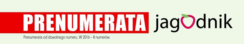 Jagodnik_PLAKAT - Kopia (3)