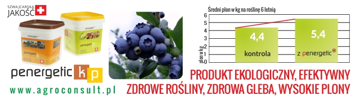 Agroconsult700x200maj