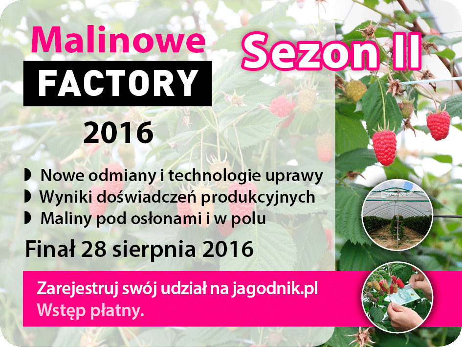 Malinowe_Factory_2016_800_600