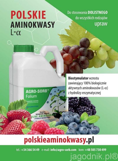 folium baner na strone jagodnik (1)-page-001