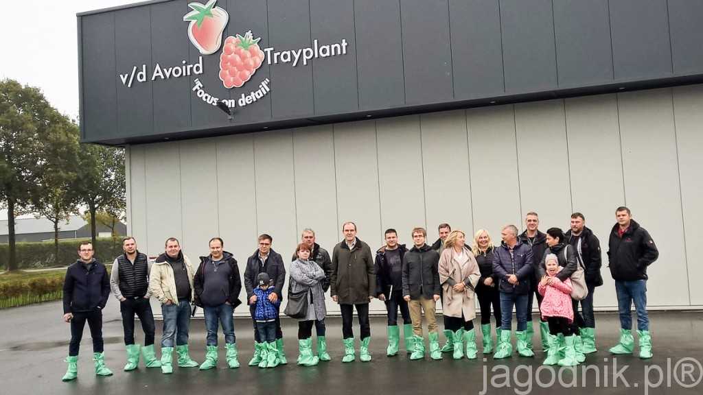 Polska grupa w szkółce Trayplant v/d Avoird