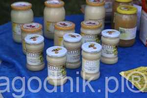 jagodnik_6_2016 (18)