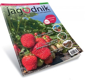 Jagodnik_okladka